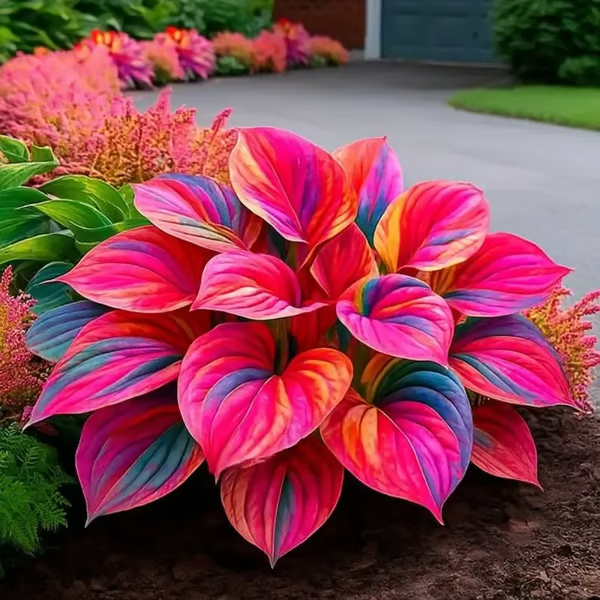/69c7897cd087330009340b9c/2026/04/14/product-img-69ddee0ef707c0639afa4a66.png