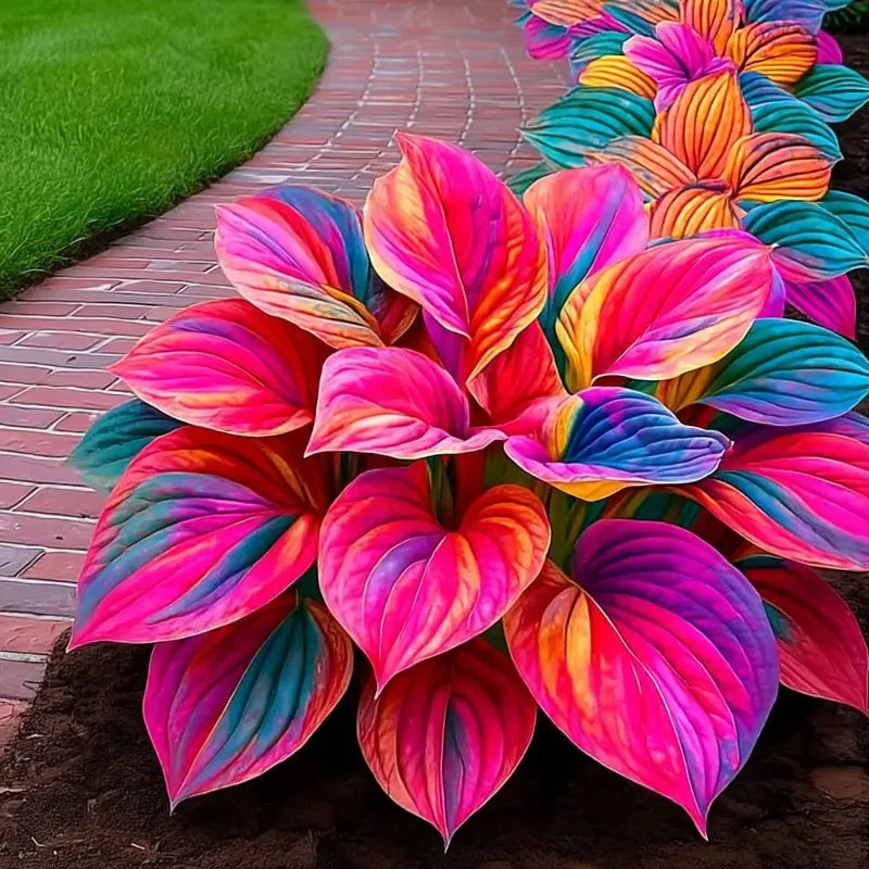 /69c7897cd087330009340b9c/2026/04/14/product-img-69ddee0ef707c0639afa4a6f.png